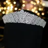 ASNORA Classic CZ Cubic Zirconia Bridal Wedding Headdress Crown Headband Womens Party Jewelry AccesHaarspelden
