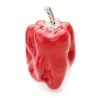 Wulibaby Red And Green Pepper Enamel Brooches Women Mens Alloy Vegetables Plant Party Banquet BrooBroches