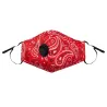 PM2.5 - actieve kool - gezichts- / mondmasker met filter - antistof - antibacterieel - herbruikbaarMondmaskers