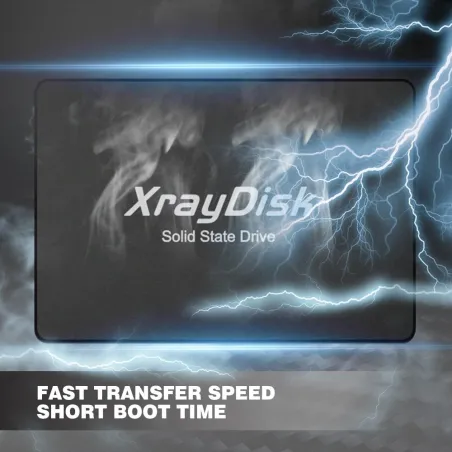 Xraydisk harde schijf - 60GB - 120GB - 120GB - 240GB - 256GB - 480GB - 512GB - interne solid state schijfHarde schijven