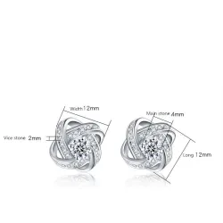 Exclusieve kleine ronde oorbellen met kristallen - 925 sterling zilverOorbellen