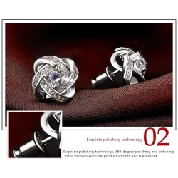 Exclusieve kleine ronde oorbellen met kristallen - 925 sterling zilverOorbellen