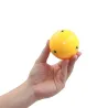 Multi-functional floating bobber - underwater omnidirectional ball - for GoPro Hero 5 4 3 / Xiaomi / SJCAMAccessories