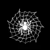Spider on a spider web - car stickerStickers