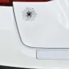 Spider on a spider web - car stickerStickers
