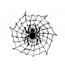 Spin op een spinnenweb - autostickerStickers