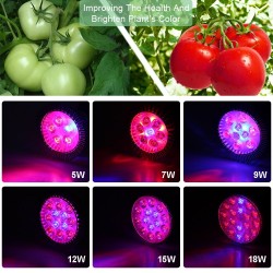 Phytolamp - LED grow light - E27 - 5W - 7W - 9W - 12W - 15W - 18WGrow Lights