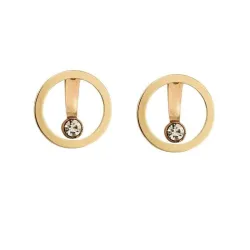 Elegante ronde oorbellen met kristalOorbellen