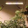 280W - 560 LED - kweeklamp voor planten - volledig spectrum - fytolampKweeklampen