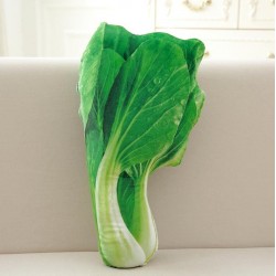 Groentevormig kussen - knuffel - broccoli / Chinese kool / choy sumKnuffels