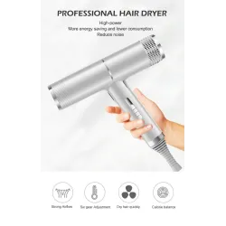 Professional hair dryer- ionic - grey - 220VHair