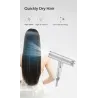 Professional hair dryer- ionic - grey - 220VHair