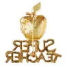 SUPER TEACHER - red bitten apple with crystals - broochBrooches