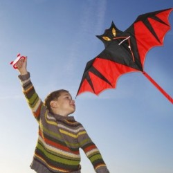 Bat shaped kite - 110cmKites