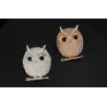 Kristallen broche met pareluilBroches
