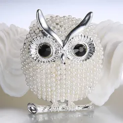Kristallen broche met pareluilBroches
