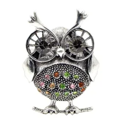 Retro grote ogen uil - broche met kristallen versieringenBroches