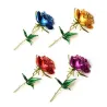 Elegant brooch - enamel roseBrooches
