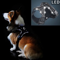 Hondentuig - met LED - verstelbaar - reflecterend - waterdichtHalsbanden en Lijnen