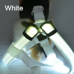 Hondentuig - LED - knipperende / gloeiende lichten - nachtbeveiligingHalsbanden en Lijnen