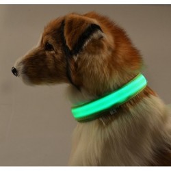 LED hondenhalsband - lichtgevend / knipperend - veiligheidsnachtwandelingHalsbanden en Lijnen
