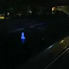 Autoband wielventielen - lichtgevende doppen - penisvormig - 4 stuksVentieldoppen
