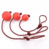 Rubber training ball for dogs - teeth cleaning - with a ropeToys
