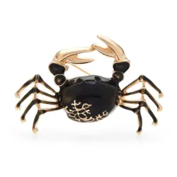 Elegante broche - krabvormBroches