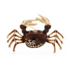 Elegante broche - krabvormBroches