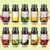 Essentiële oliën van fruit - aardbei / mango / watermeloen / passievrucht - voor diffusers / baden / cosmetica - 10 stuksLuch...