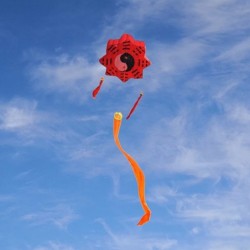 Tai Chi Gossip - traditional kite - long tailKites
