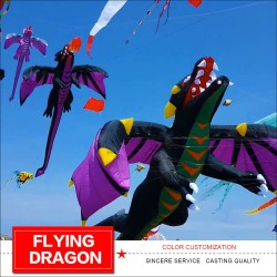 3D vliegende draak - vlieger - 6.5mVliegers