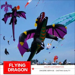 3D flying dragon - kite - 6.5mKites