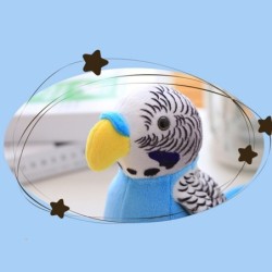 Elektrisch pratende papegaai - grappige knuffel - opnemen / herhalen / zwaaien met vleugels - 18cmSpeelgoed