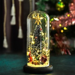 Decoratieve kerstboom - in glazen stolp - met LEDKerstmis