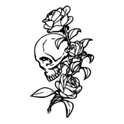 Vinyl car / motorcycle sticker - skull with rosesStickers