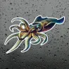 Autosticker - duivelsvis - waterdichtStickers