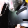 Motorhelmdecoratie - pluche kattenorenMotorfiets onderdelen