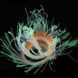 Flexibel siliconen koraal / anemoon - glowing in dark - aquariumdecoratieAquarium