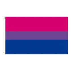 Hanging banner - flag - LGBT / transgender / pansexual / progress / PRIDE / rainbowStickers