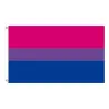Hangende banner - vlag - LGBT / transgender / panseksueel / vooruitgang / PRIDE / regenboogStickers