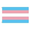 Hangende banner - vlag - LGBT / transgender / panseksueel / vooruitgang / PRIDE / regenboogStickers