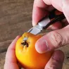 Mini opvouwbaar zakmes - met sleutelhanger - roestvrij staalMultitool & Zakmes