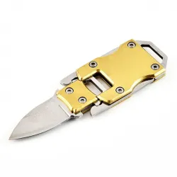 Klein zakmes - afneembaar - opvouwbaar - roestvrij staal - met lanyardMultitool & Zakmes