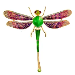 Kleurrijke kristallen libelbrocheBroches