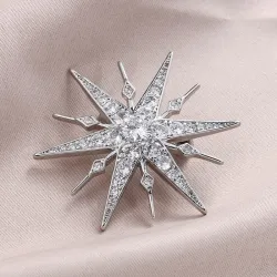 Luxe stervormige broche - zirkoniaBroches