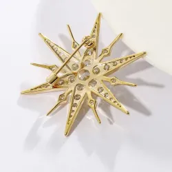 Luxe stervormige broche - zirkoniaBroches