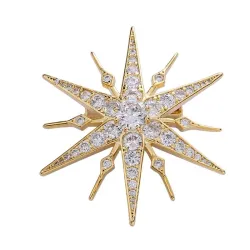 Luxe stervormige broche - zirkoniaBroches