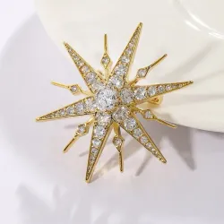 Luxe stervormige broche - zirkoniaBroches
