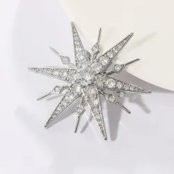 Luxe stervormige broche - zirkoniaBroches